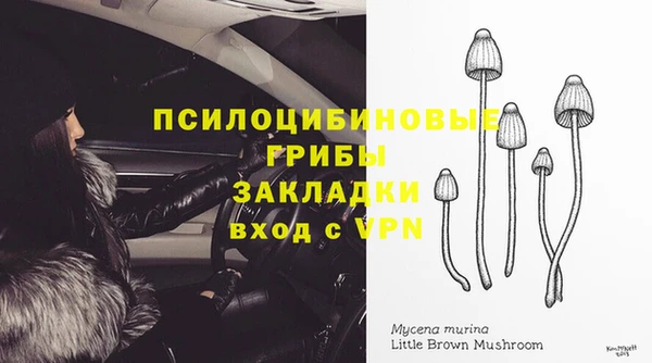 Альфа ПВП Козельск