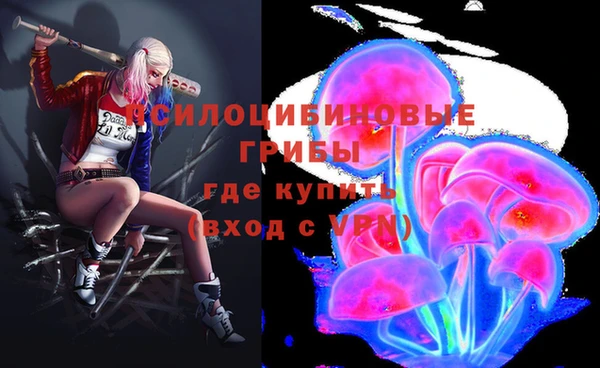 Альфа ПВП Козельск