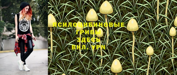 дурь Козловка